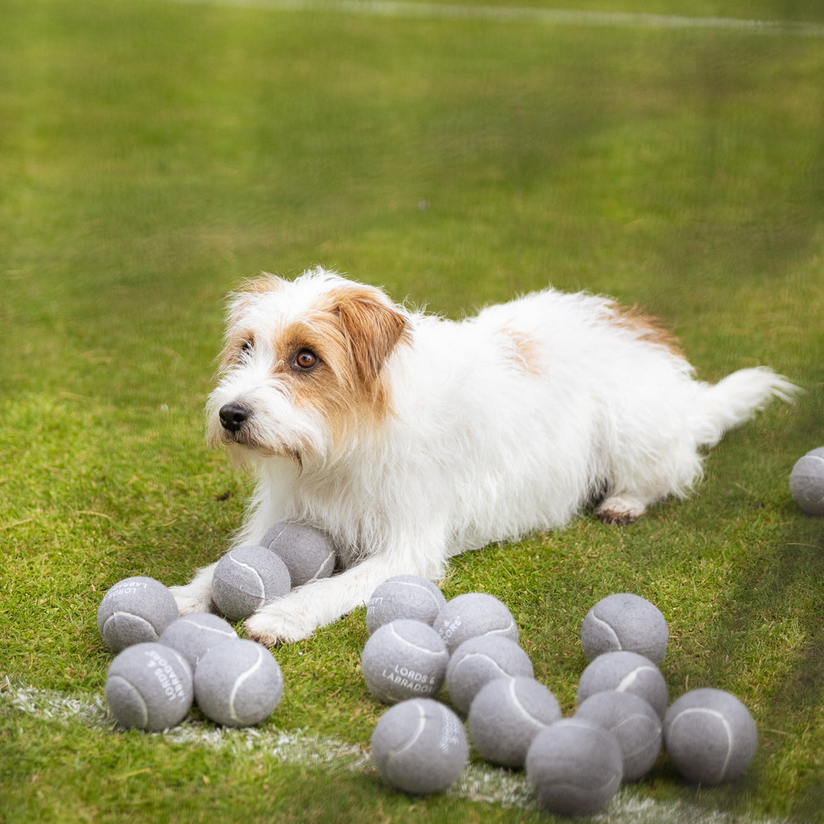 Super Bounce Tennis Balls 3 Pack, view 8