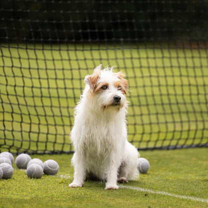 Super Bounce Tennis Balls 3 Pack, view 9