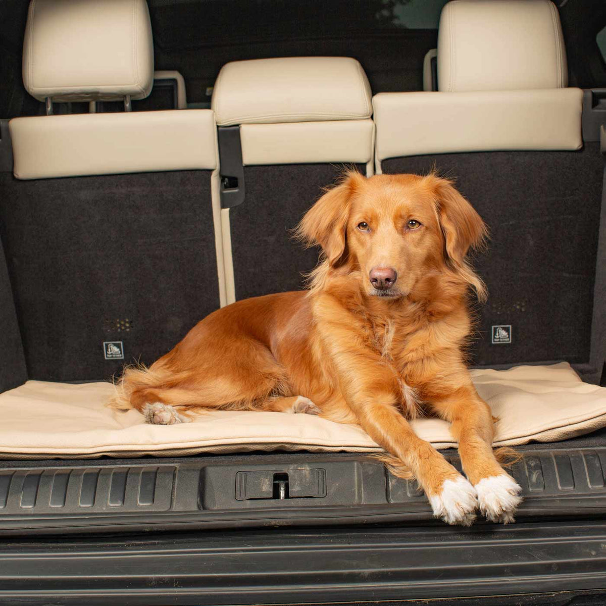 Travel Mat in Sand Rhino Tough Faux Leather, view 3