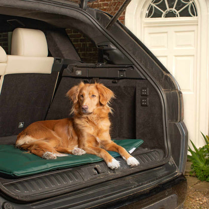 Travel Mat in Forest Rhino Tough Faux Leather, view 5