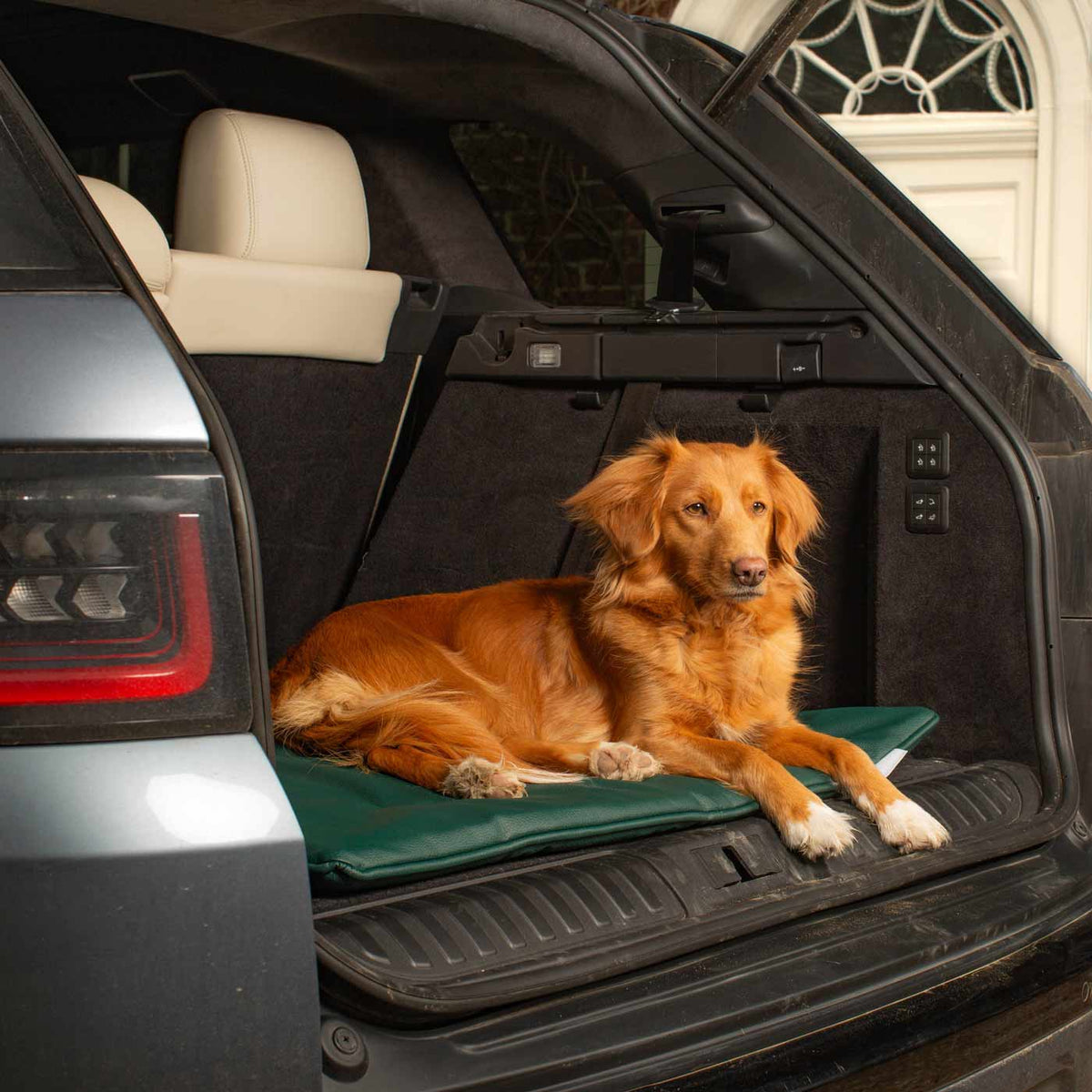 Travel Mat in Forest Rhino Tough Faux Leather, view 6