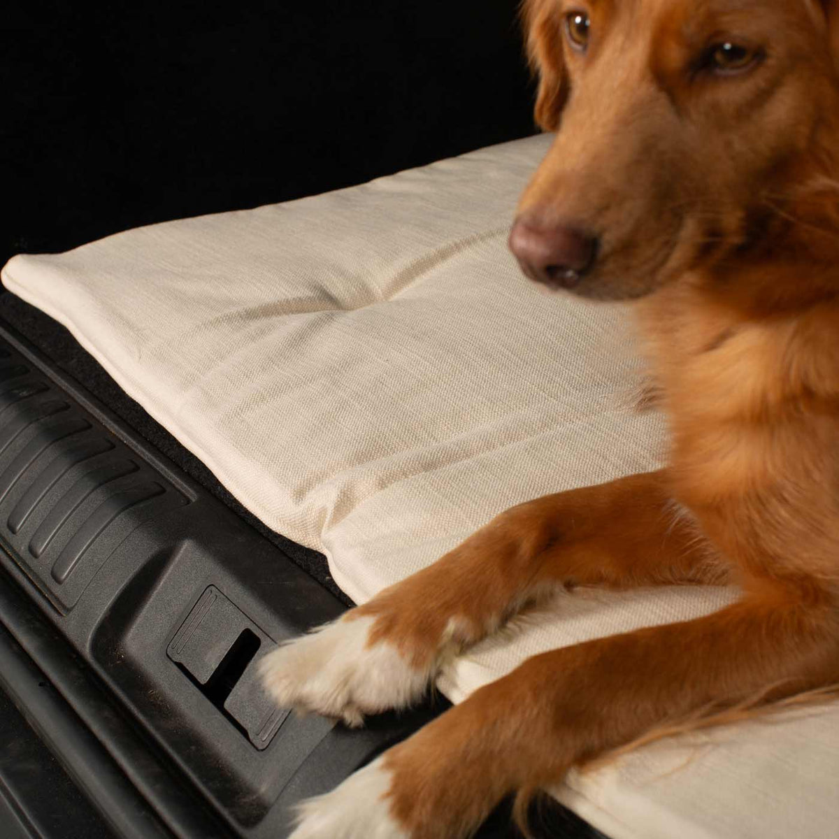 Travel Mat in Savanna Bone, view 7
