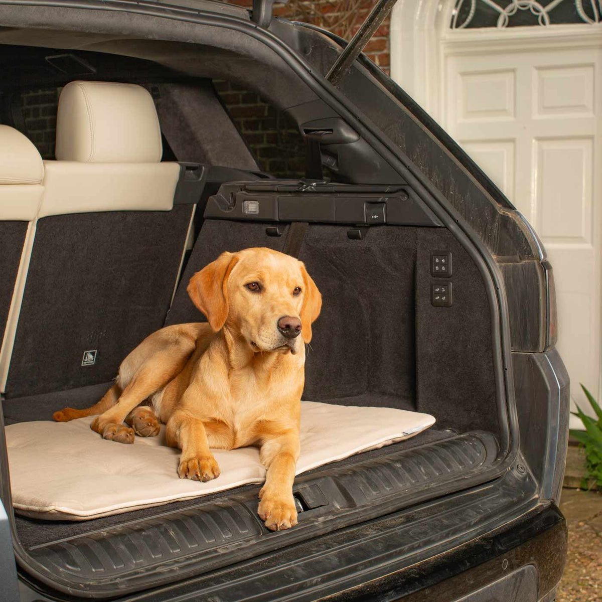 Travel Mat in Savanna Bone, view 2