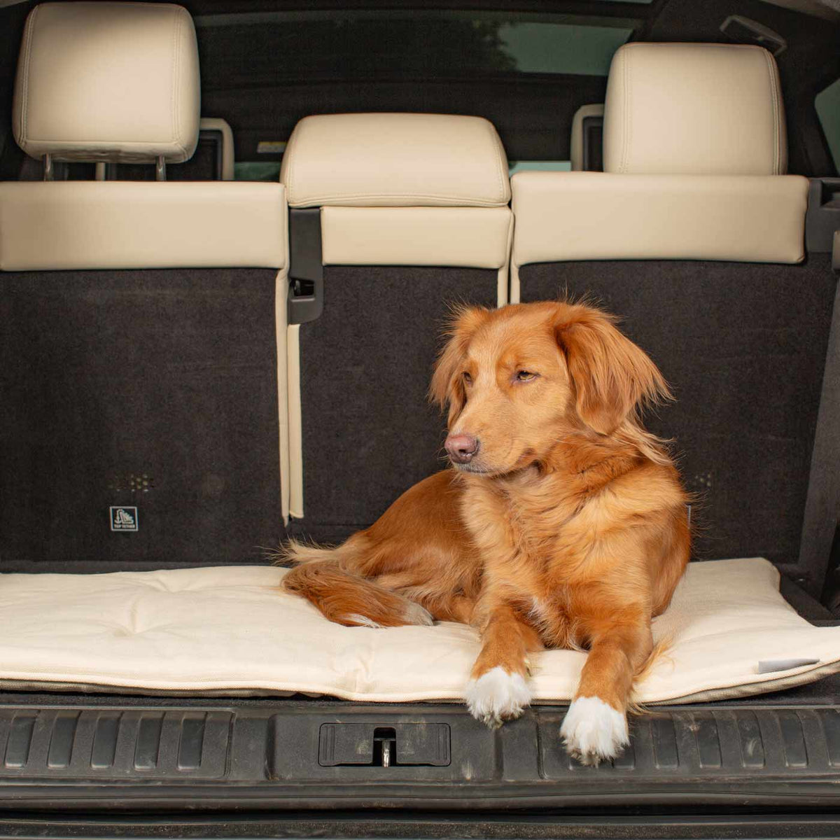 Travel Mat in Savanna Bone, view 6