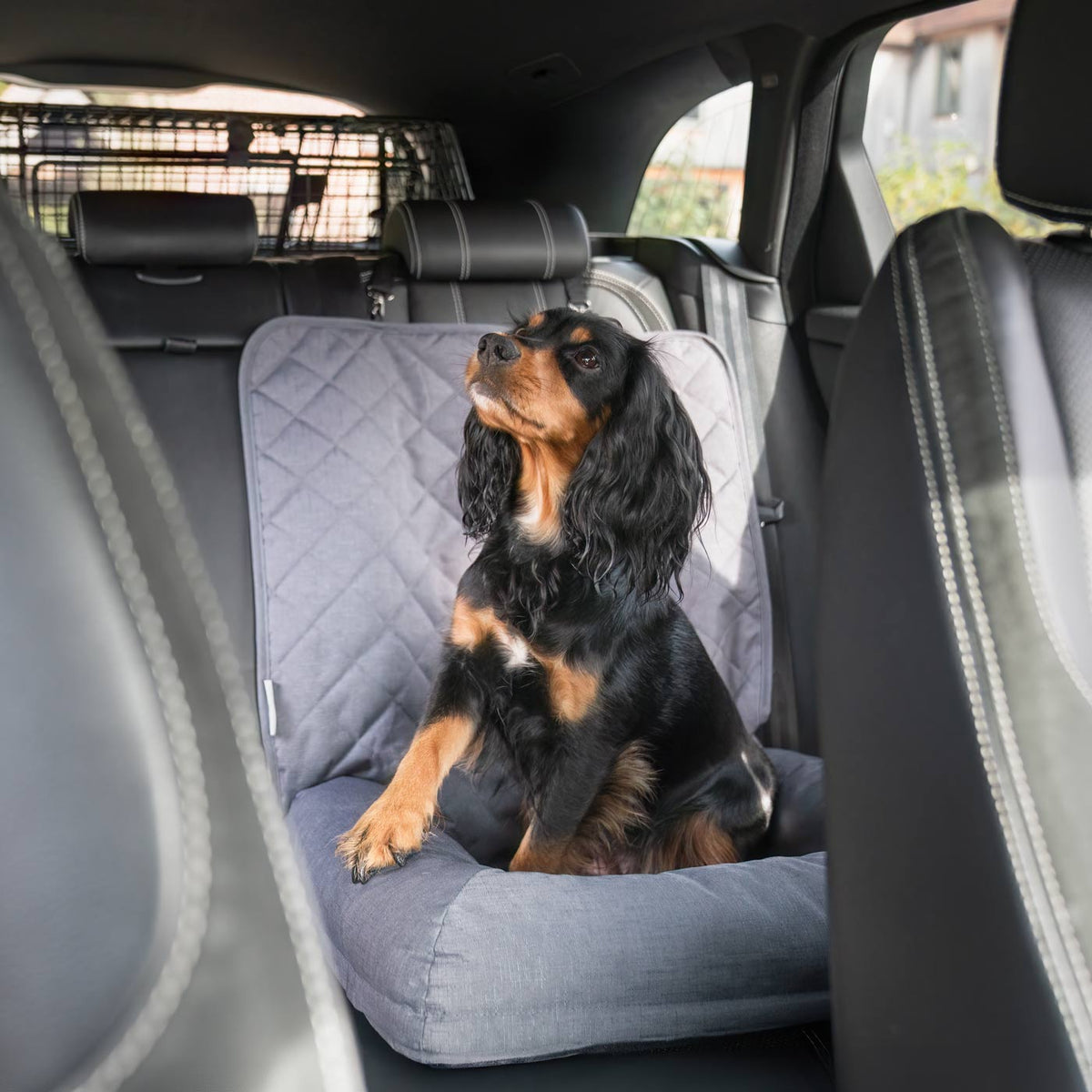 Travel Seat Snoozer