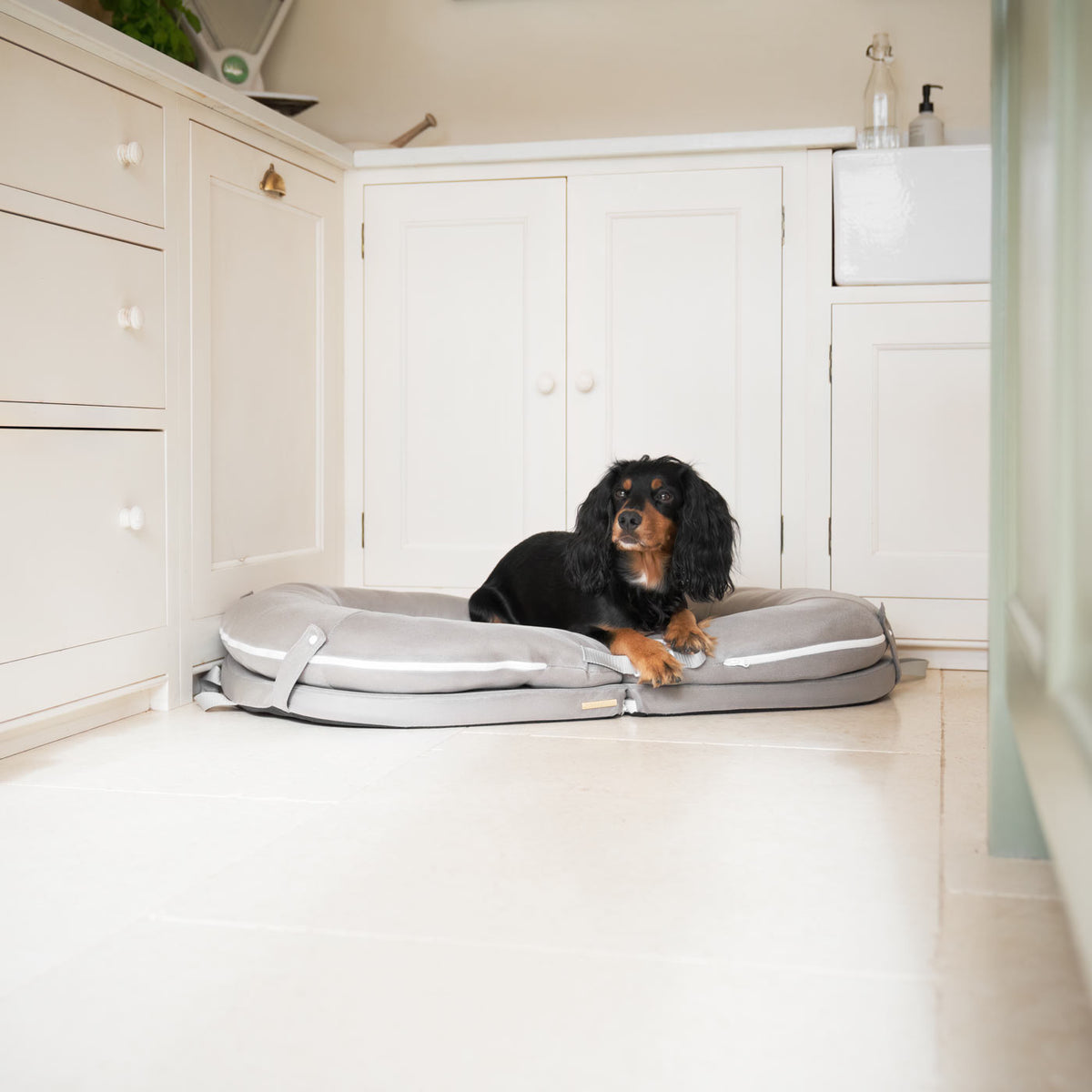 The Ultimate Capsule Travel Dog Bed