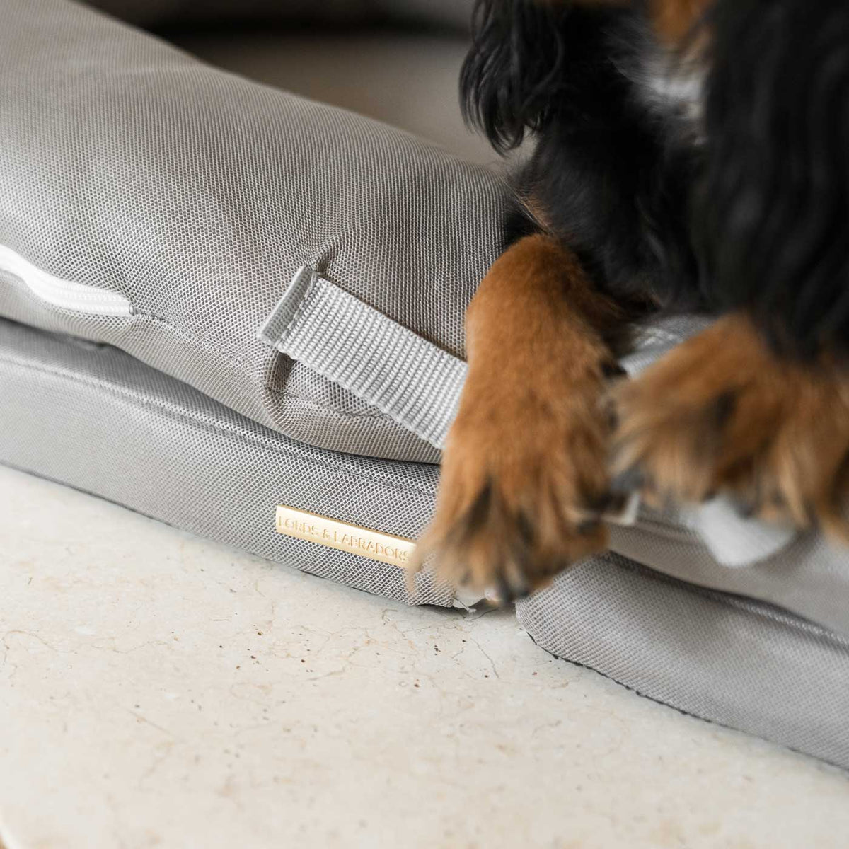 The Ultimate Capsule Travel Dog Bed, view 2