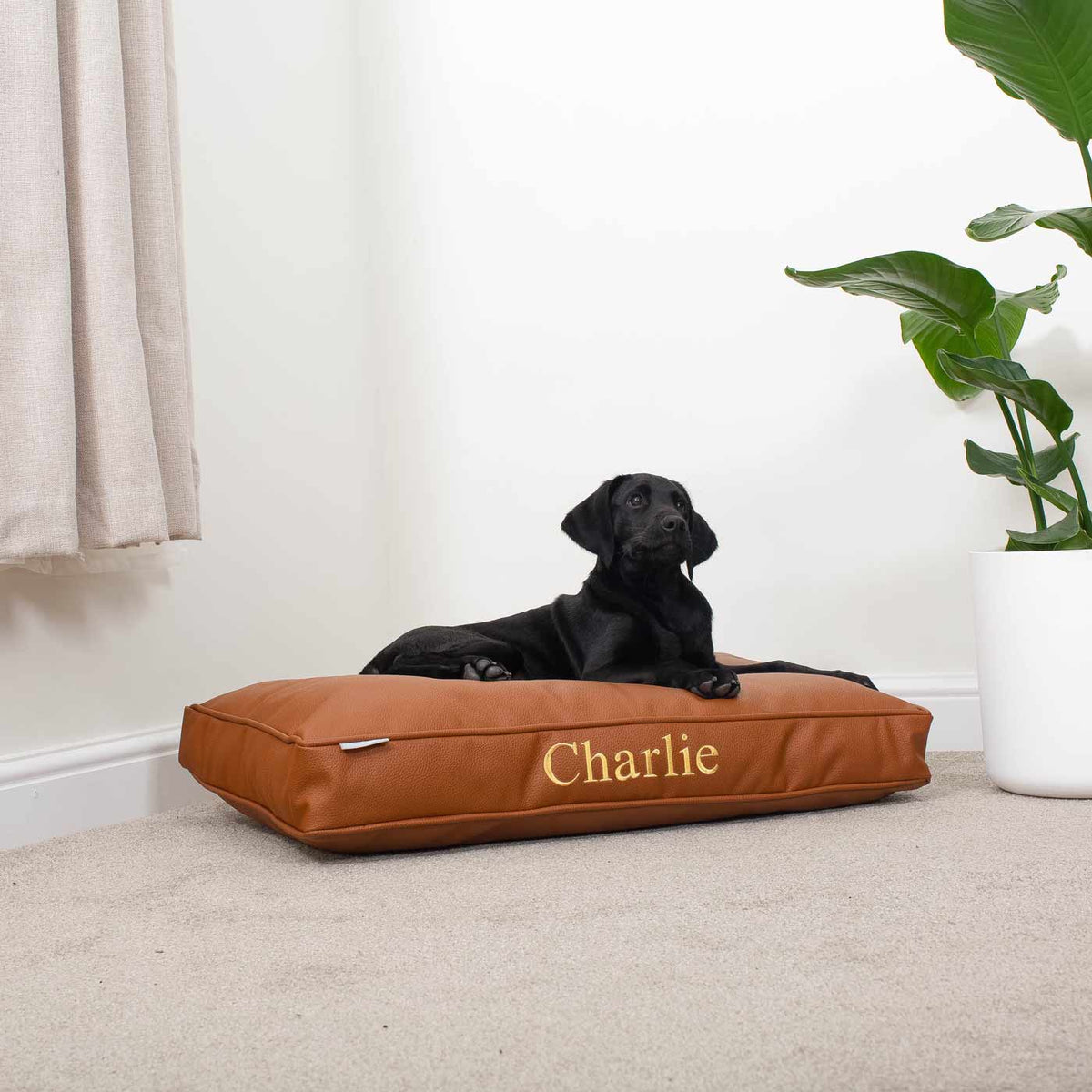 Dog Cushion With Removable Cover in Rhino Tough Ember Faux Leather, view 4