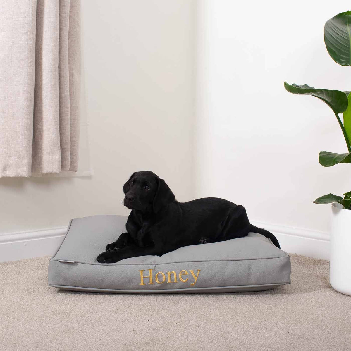 Dog Cushion With Removable Cover in Rhino Tough Granite Faux Leather, view 8