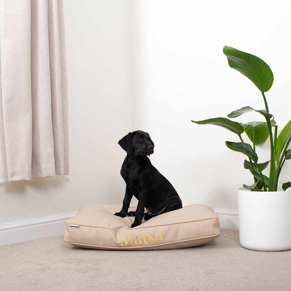 Dog Cushion With Removable Cover in Rhino Tough Sand Faux Leather, view 6