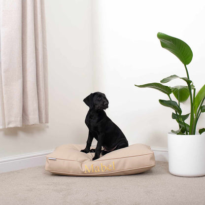 Dog Cushion With Removable Cover in Rhino Tough Sand Faux Leather, view 6