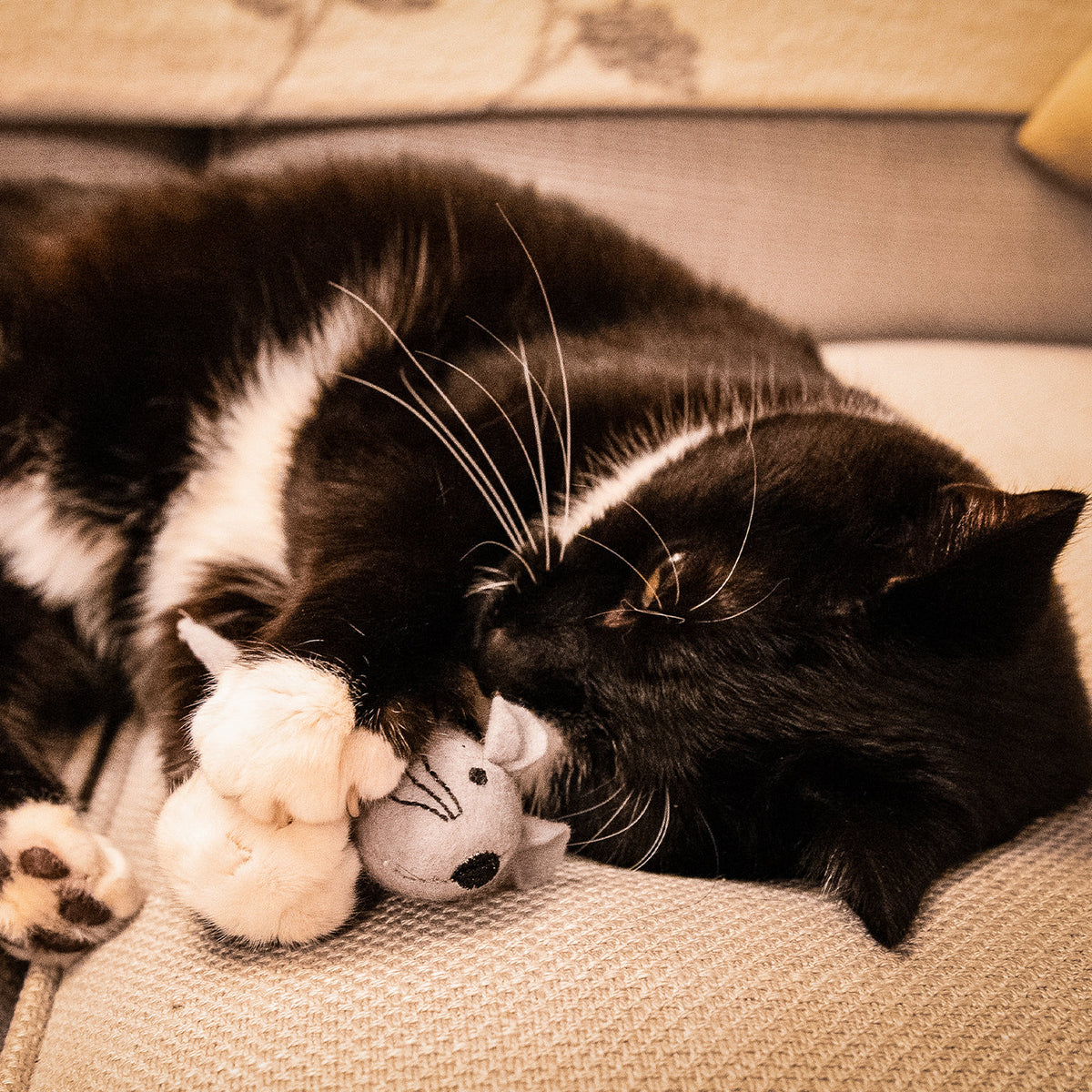 Martha & Mayor Mice Duo Cat Toys, view 3