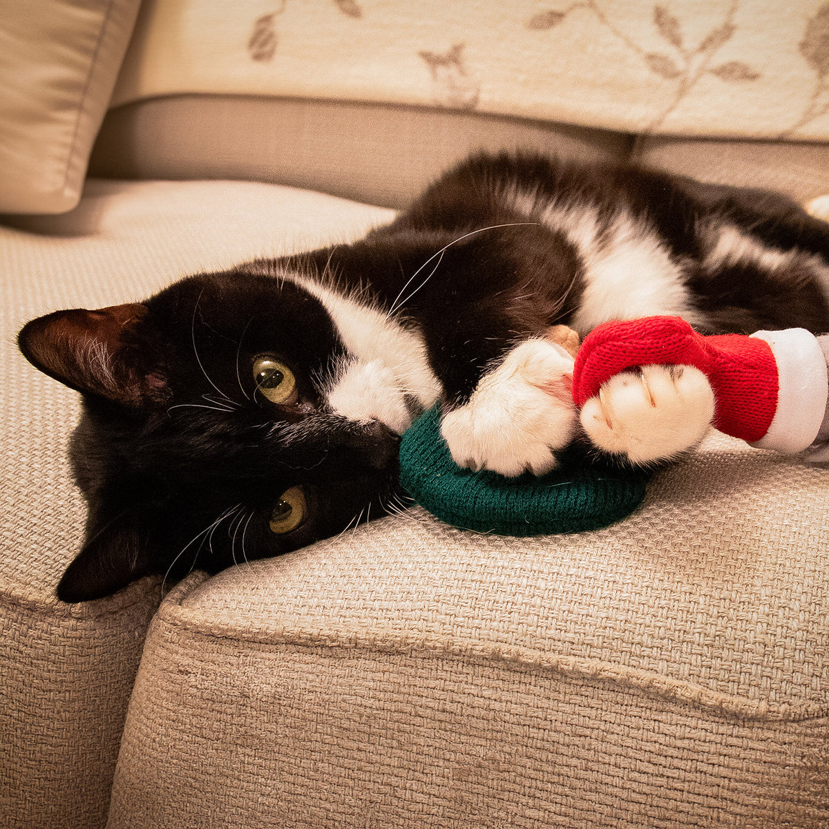 Martha & Mayor Mice Duo Cat Toys, view 4