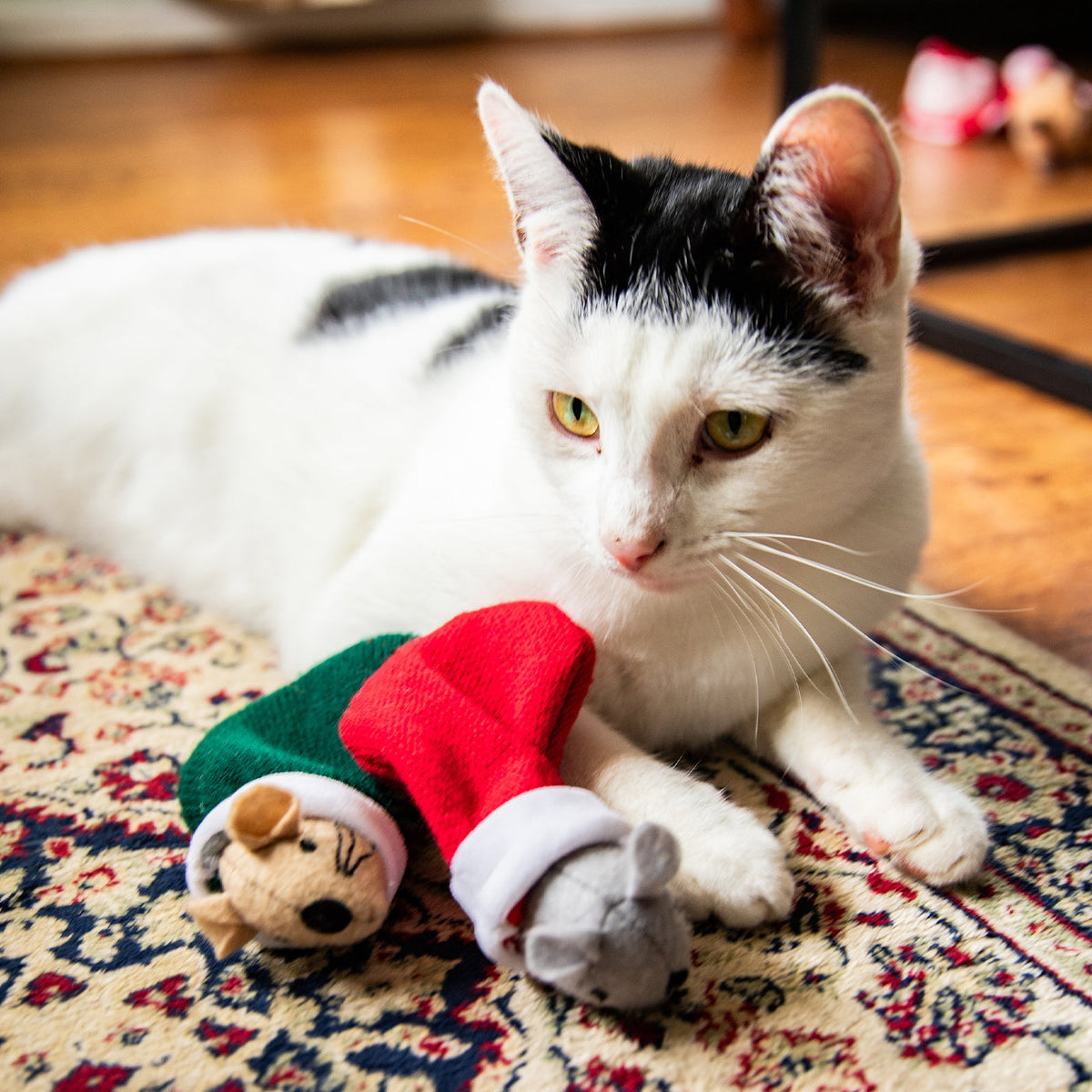 Martha & Mayor Mice Duo Cat Toys, view 2