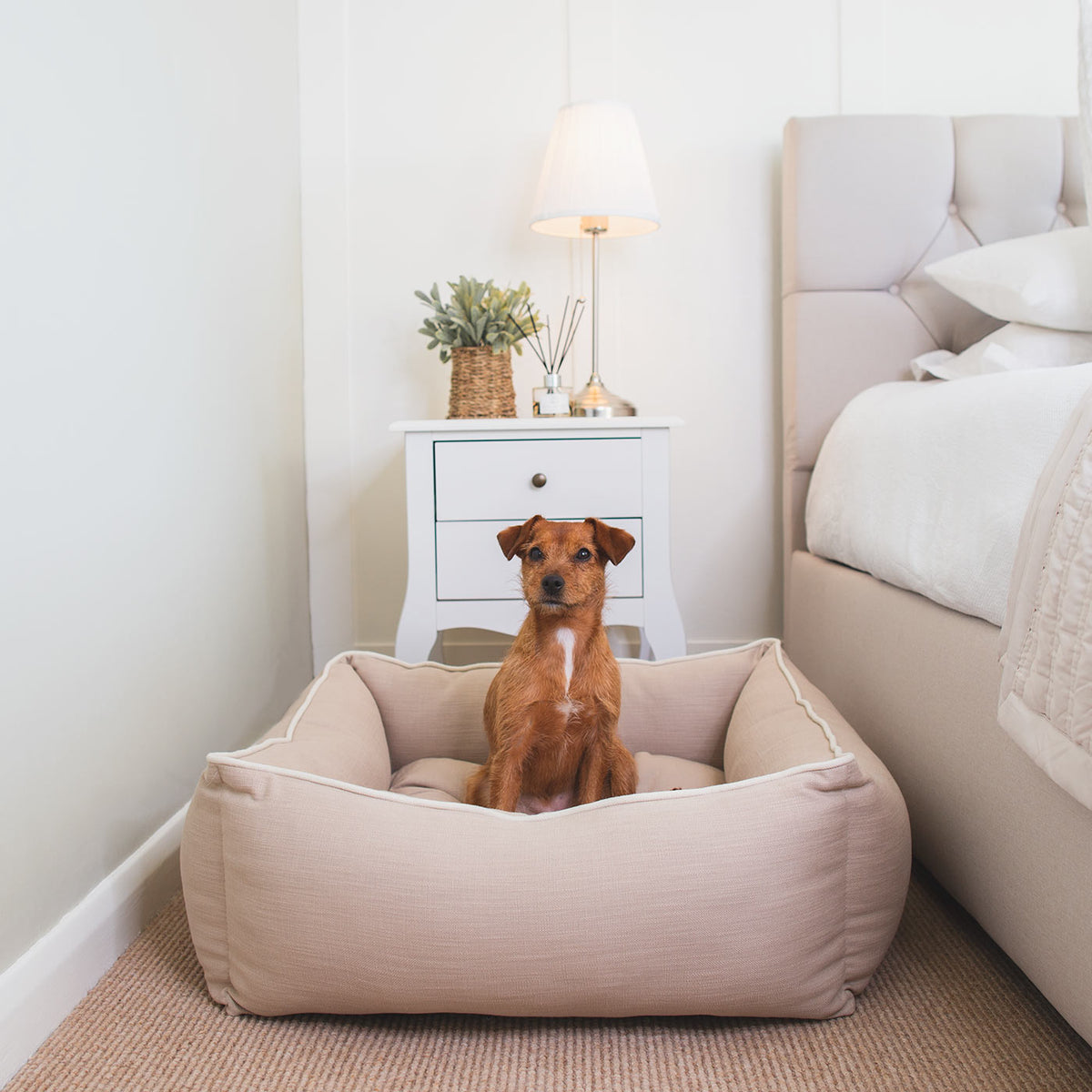 Box Bed With Removable Covers in Savanna Oatmeal, view 5