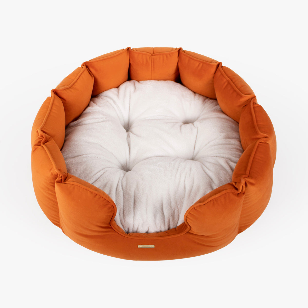 High Wall Bed With Removable Covers in Pumpkin Velvet, view 7