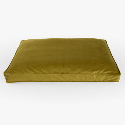 Dog Cushion in Olive Velvet, view 9