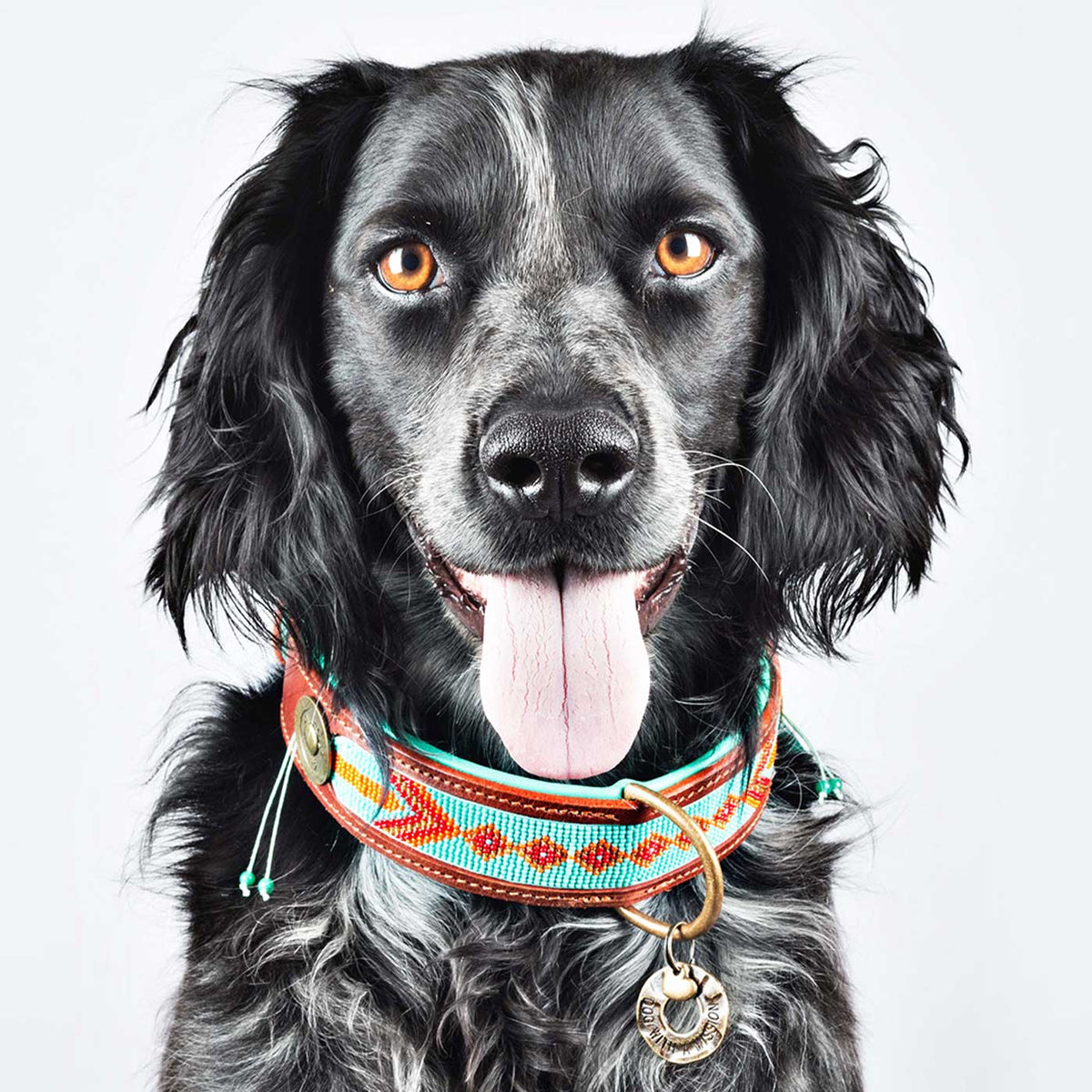 Paddy Lee Dog Collar by DWAM, view 3
