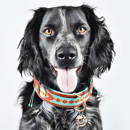 Paddy Lee Dog Collar by DWAM, view 3
