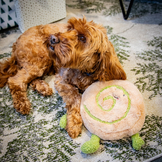 Papa Pesto Pinwheel Dog Toy
