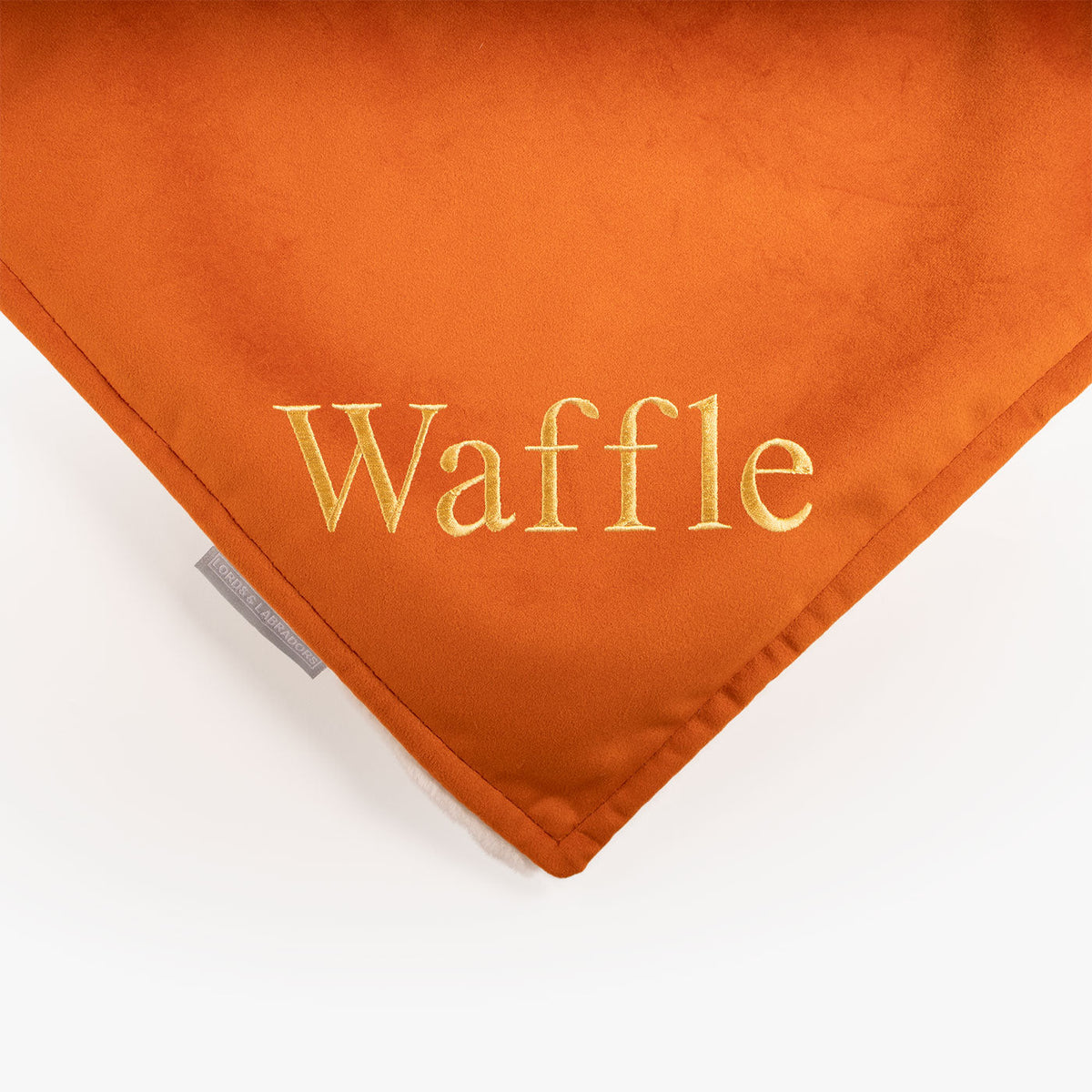 Dog & Puppy Blanket in Pumpkin Velvet, view 7