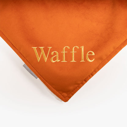 Dog & Puppy Blanket in Pumpkin Velvet, view 7