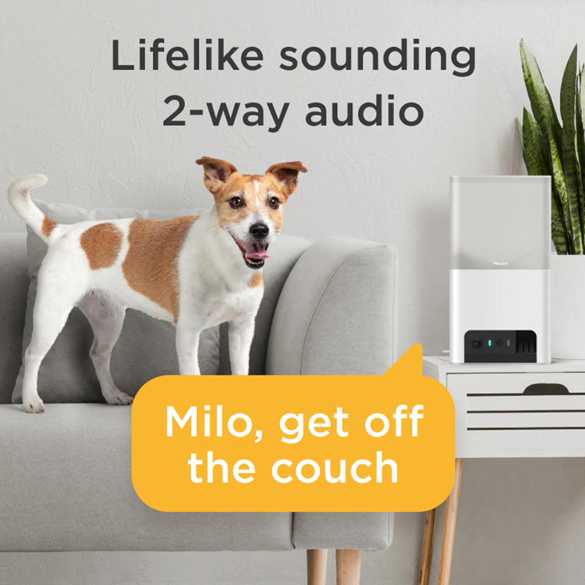 Petcube Bites 2 Lite Interactive Pet Camera With Treat Dispenser, view 9