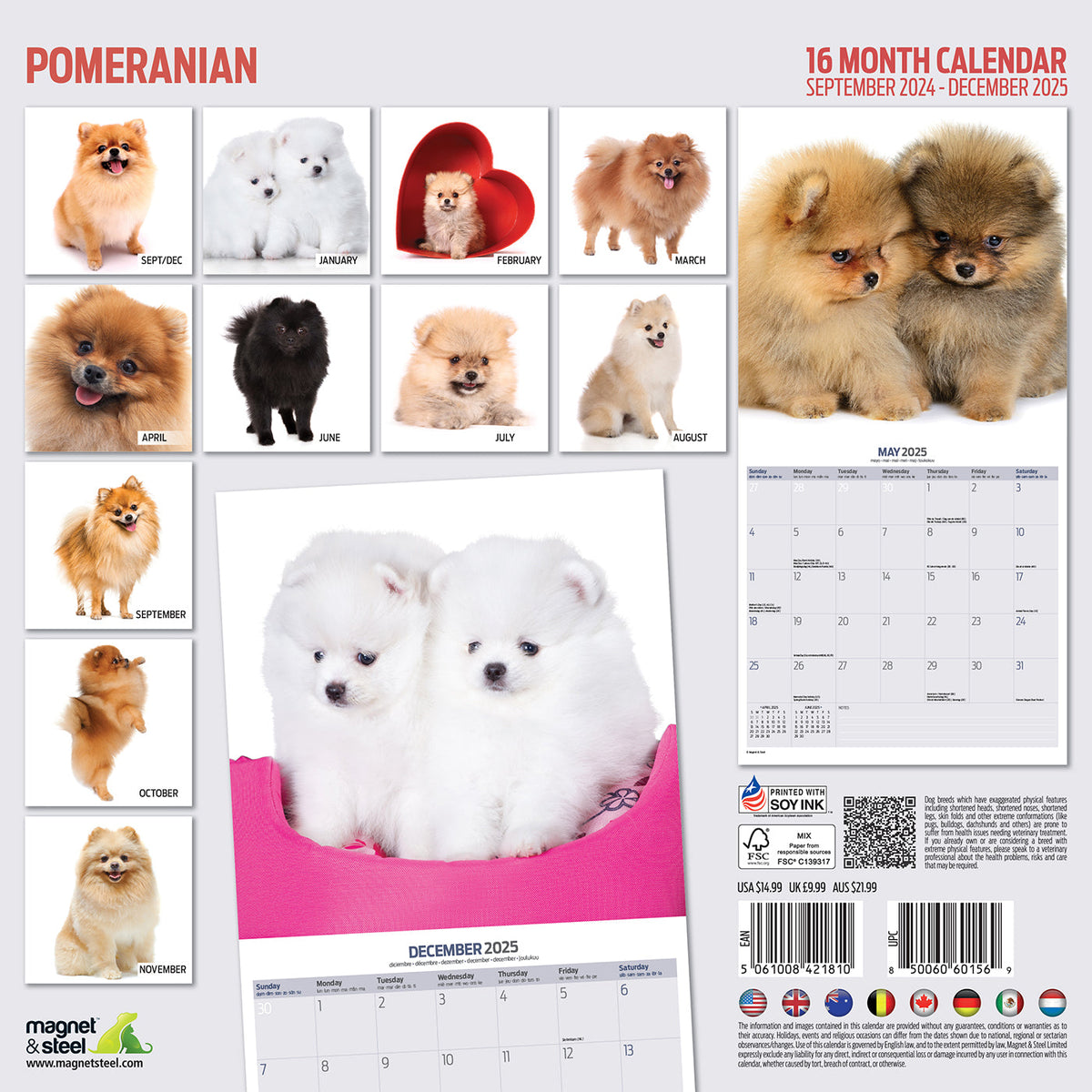 Pomeranian Modern Calendar 2025, view 2