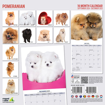 Pomeranian Modern Calendar 2025, view 2