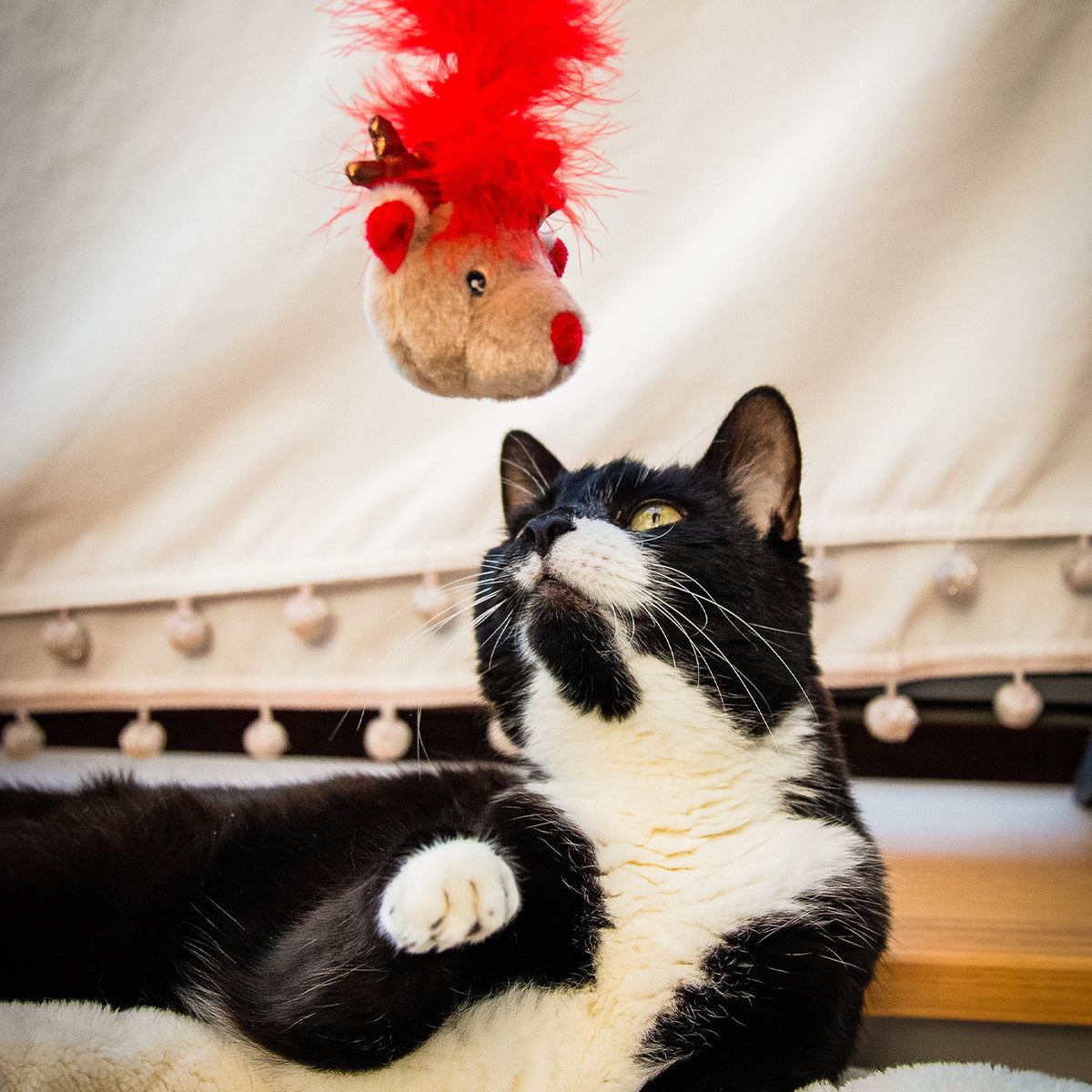 Roxy Reindeer Cat Teaser, view 2