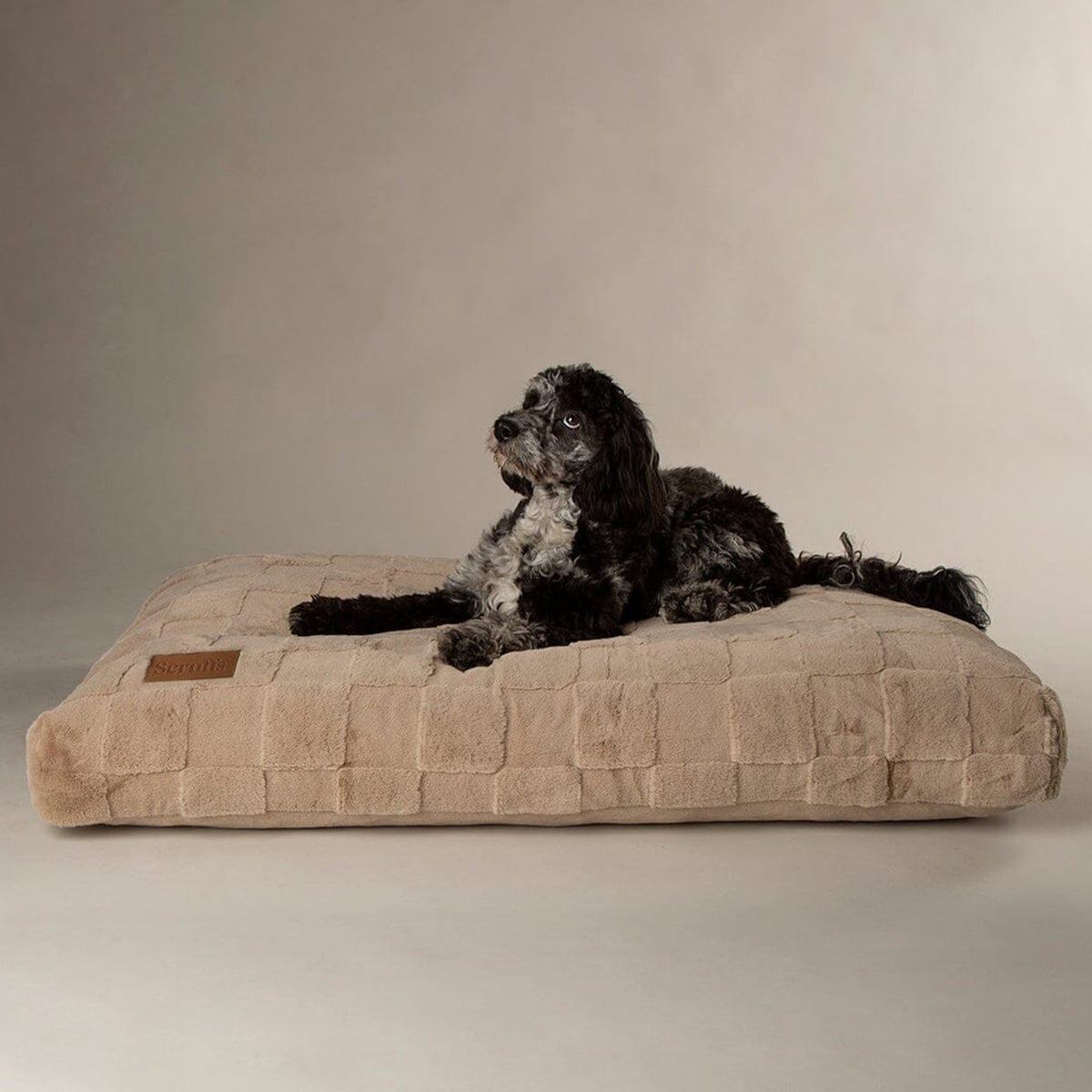Scruffs Oxford Orthopaedic Camel Dog Mattress, view 2