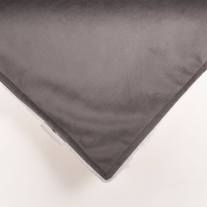 Dog & Puppy Blanket in Silt Velvet, view 4
