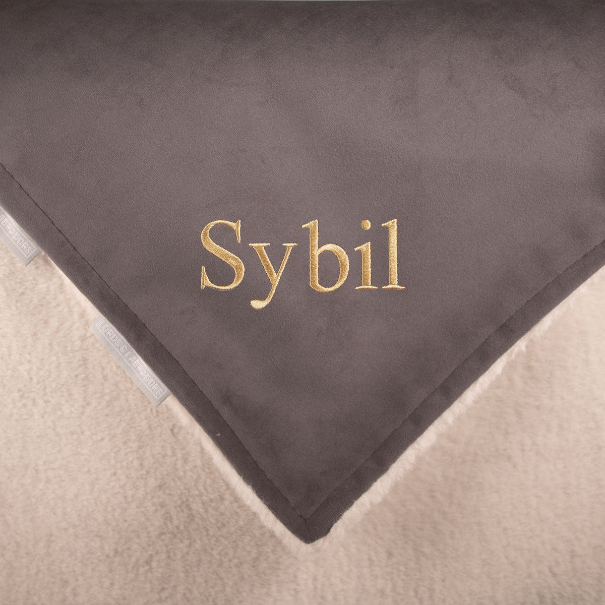 Dog & Puppy Blanket in Silt Velvet, view 5