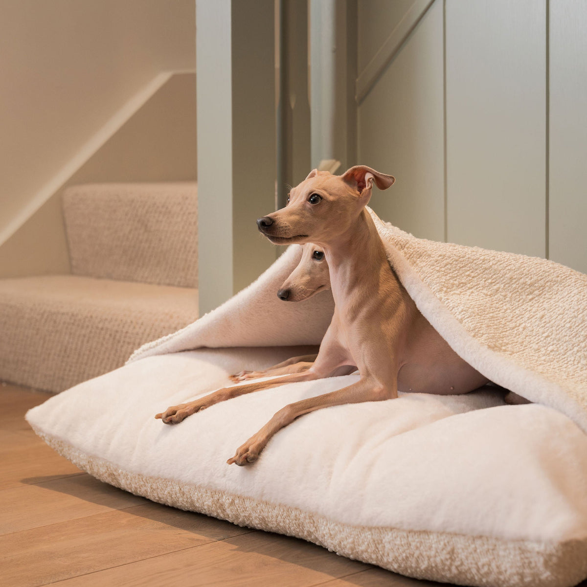 Sleepy Burrows Bed With Removable Cover in Ivory Bouclé, view 3