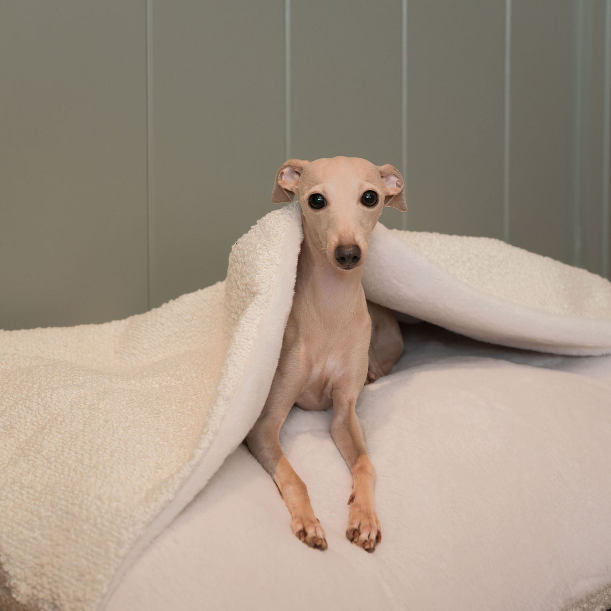 Sleepy Burrows Bed With Removable Cover in Ivory Bouclé, view 5