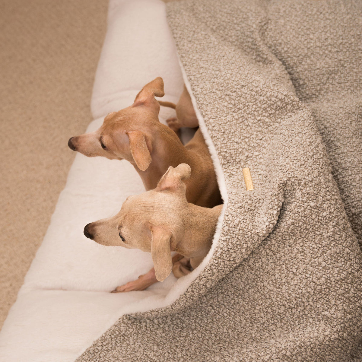 Sleepy Burrows Bed With Removable Cover in Mink Bouclé, view 5
