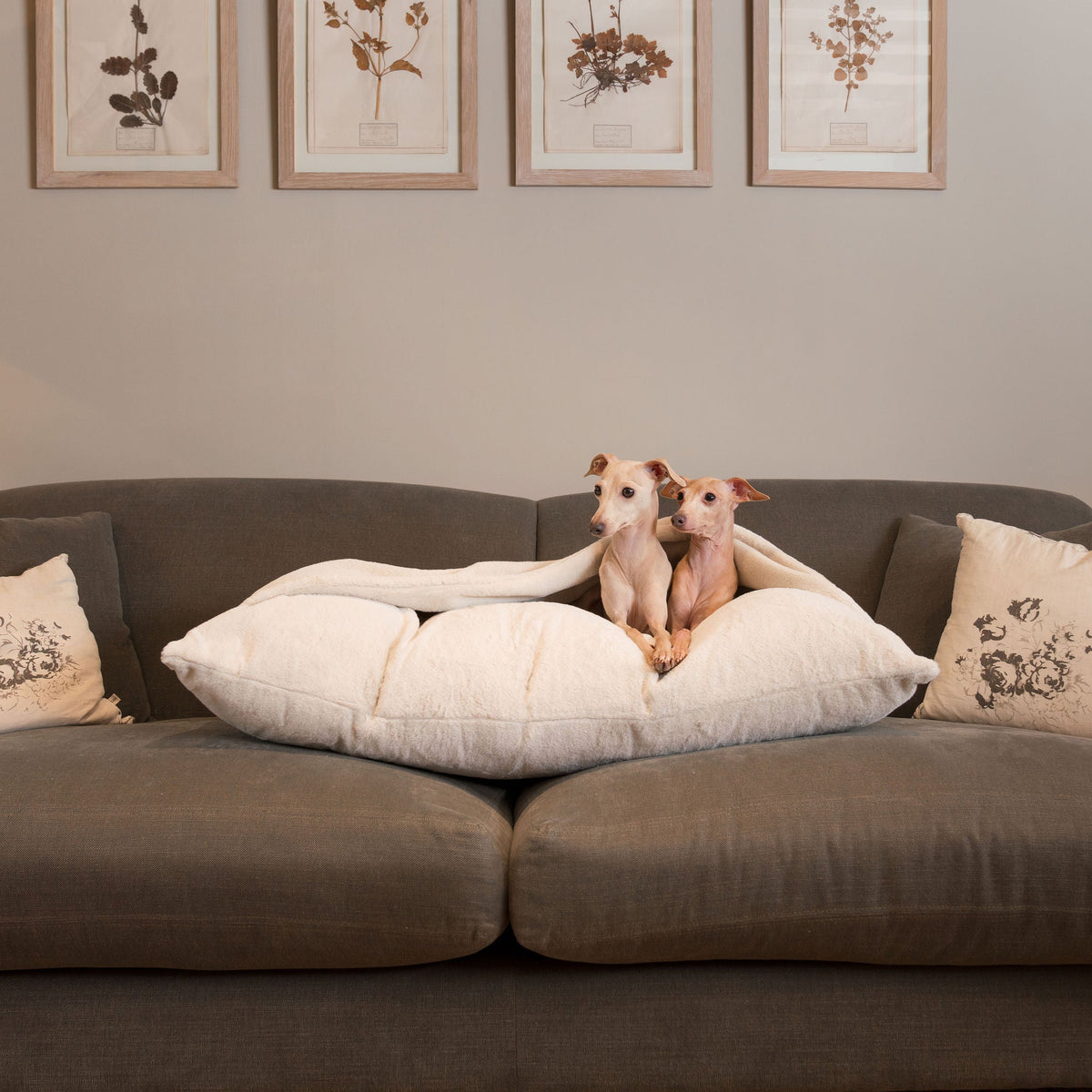 Sleepy Burrows Bed With Removable Cover in Calming Anti-Anxiety Cream Faux Fur, view 5