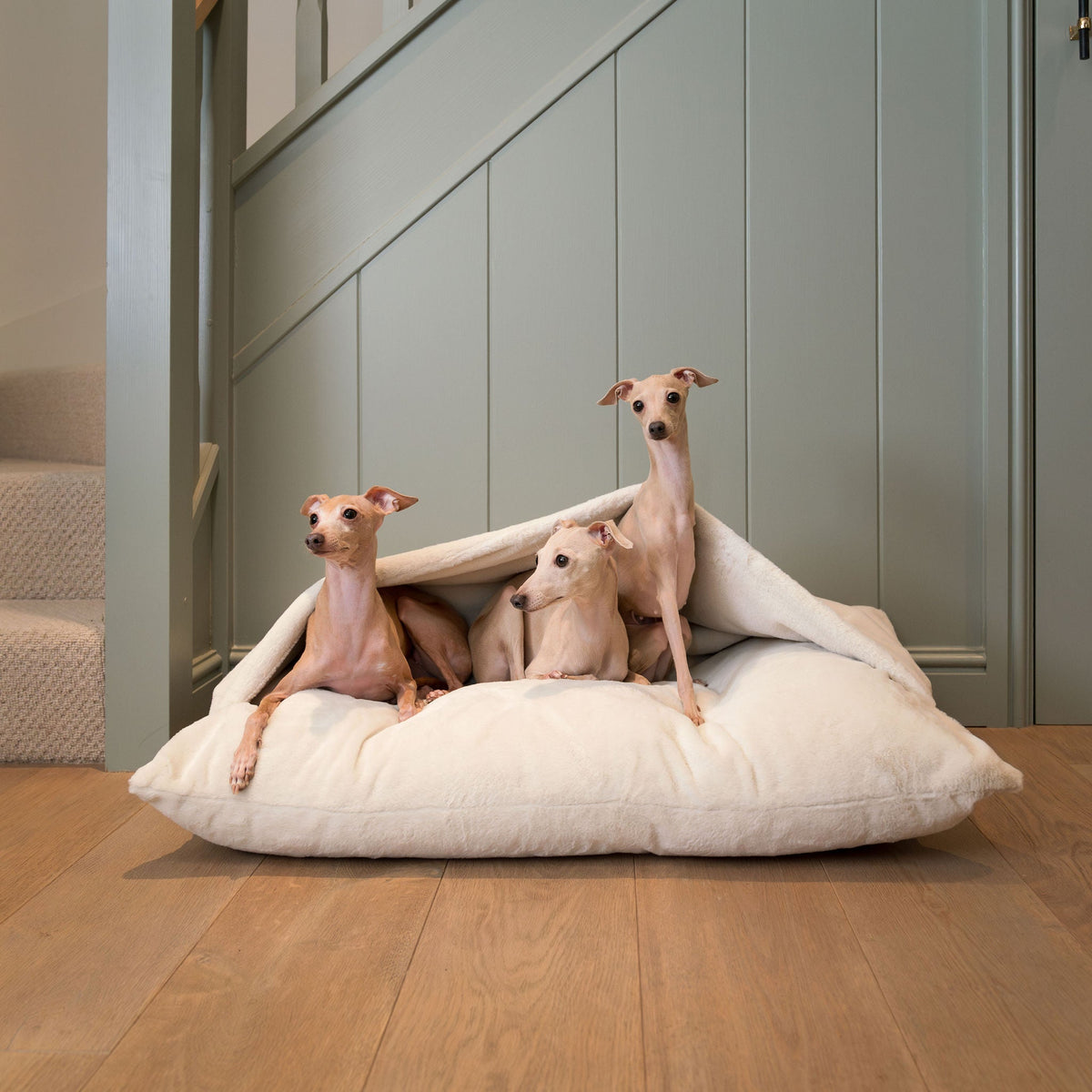 Sleepy Burrows Bed With Removable Cover in Calming Anti-Anxiety Cream Faux Fur