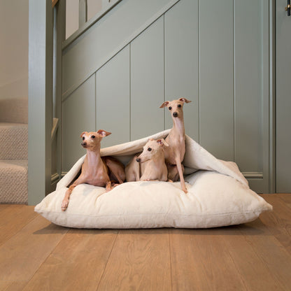 Sleepy Burrows Bed With Removable Cover in Calming Anti-Anxiety Cream Faux Fur