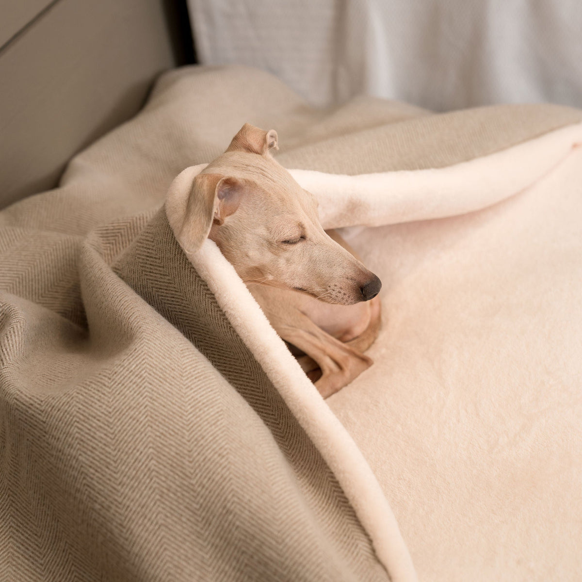 Sleepy Burrows Bed With Removable Cover in Natural Herringbone, view 5