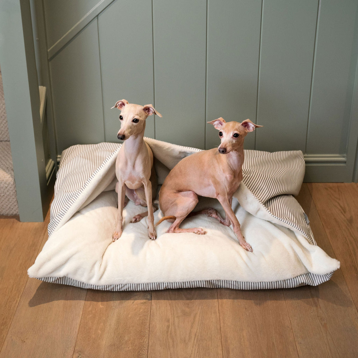 Sleepy Burrows Bed With Removable Cover in Regency Stripe