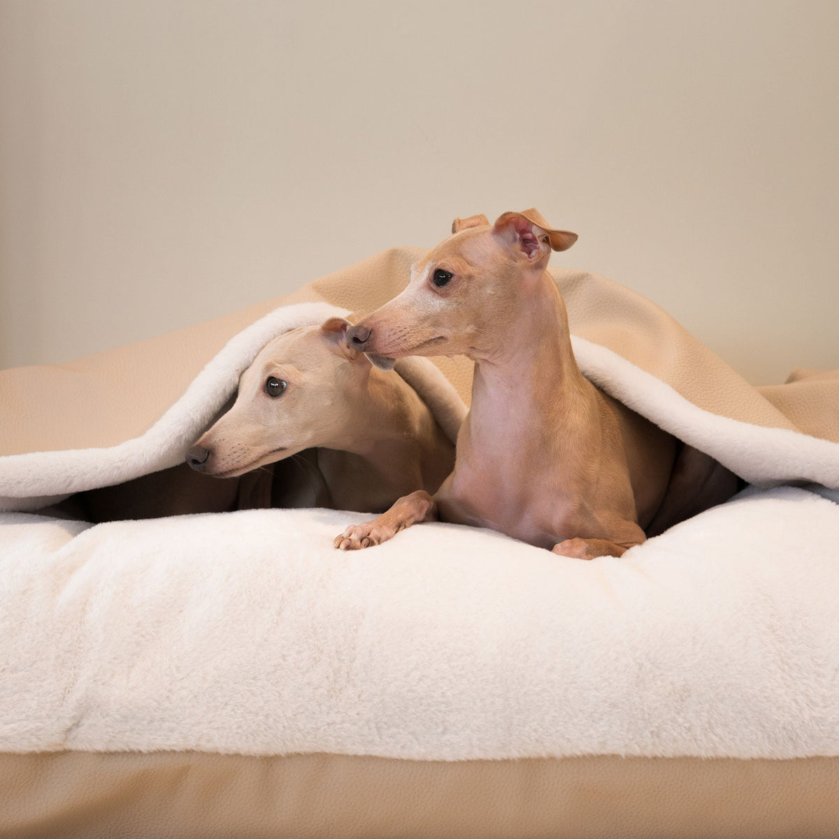 Sleepy Burrows Bed With Removable Cover in Sand Rhino Tough Faux Leather, view 7