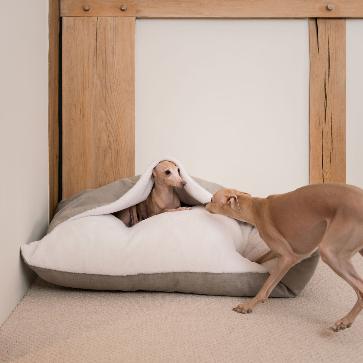 Sleepy Burrows Bed With Removable Cover in Savanna Stone, view 3