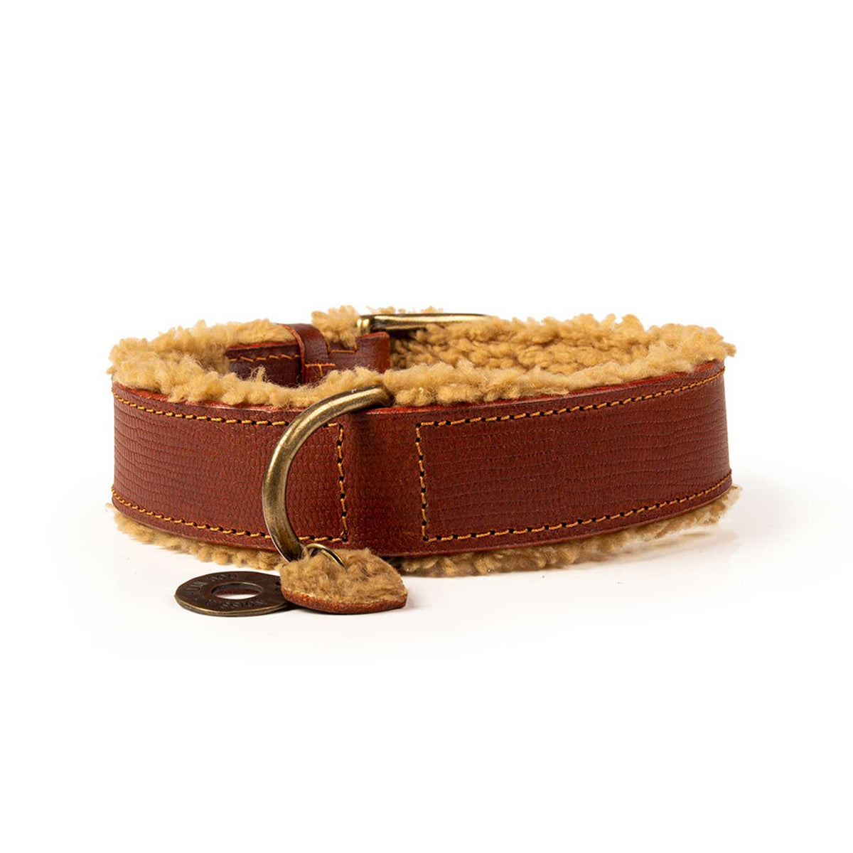 Teddy Dog Collar by DWAM, view 6