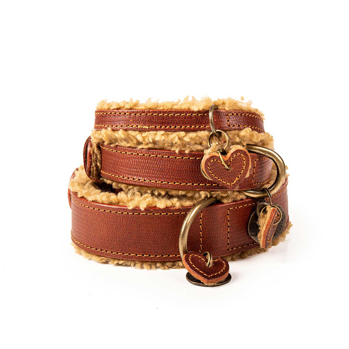 Teddy Dog Collar by DWAM, view 7
