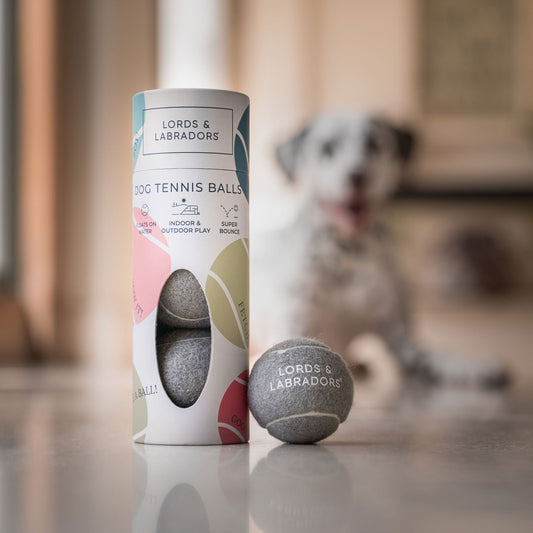 Super Bounce Tennis Balls 3 Pack