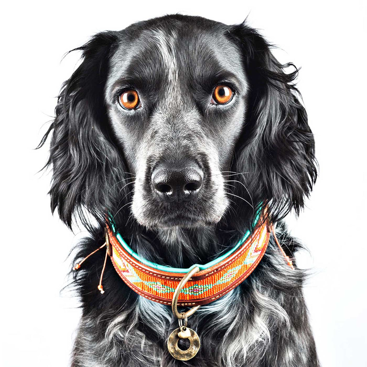 Tiger Lily Dog Collar by DWAM, view 2