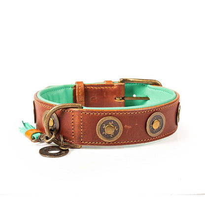 Urban Dog Collar by DWAM, view 4
