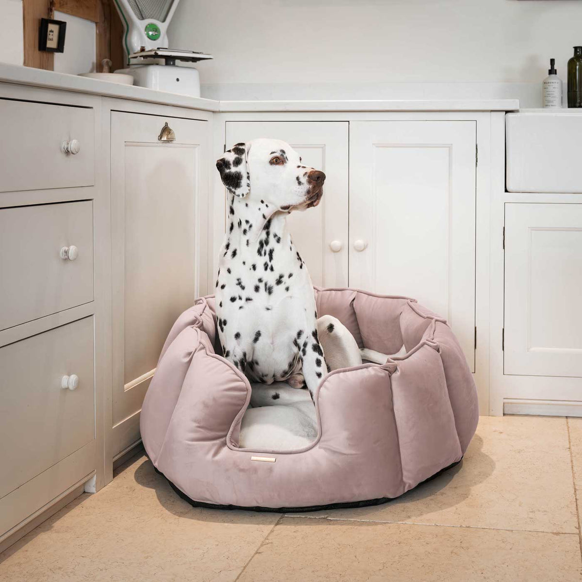 High Wall Bed With Removable Covers in Blossom Velvet, view 3