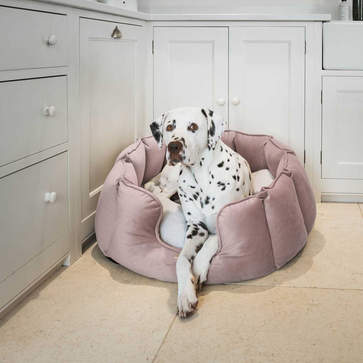 High Wall Bed With Removable Covers in Blossom Velvet